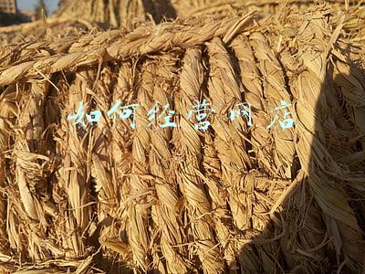 如何经营好一家网店(如何经营好一家网店论文)