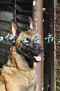 怎么样可以把书店经营的更好(书店如何经营)