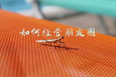 如何经营朋友圈高质量(如何营造高质量的朋友圈)