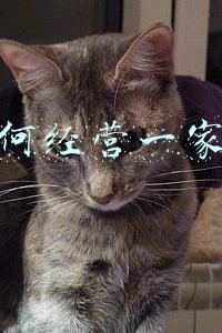 如何经营一家店详细方案(如何管理一个店的方案)