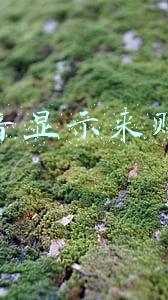 抖音上看到怎么赚钱的(简单5步教你利用今日头条赚钱，在家就能做，不限基础)