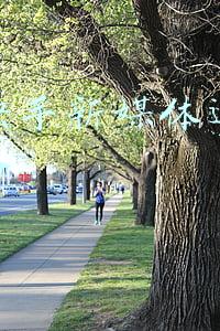 抖音快手新媒体运营组合策略