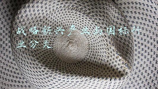 战略性新兴产业分类(经济微​讲义 | 走进江苏的“战略性新兴产业”)