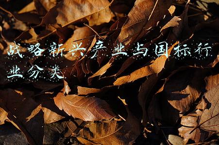 战略性新兴产业分类 附新旧对照表(国家标准《海洋及相关产业分类》修订版发布)