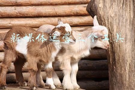 新媒体运营三个工具