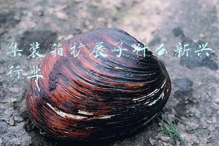 集装箱扩展了什么新兴行业