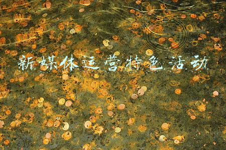 新媒体运营特色活动