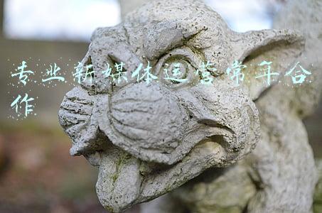 专业新媒体运营常年合作