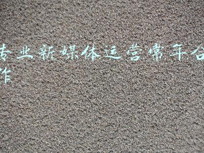 专业新媒体运营常年合作