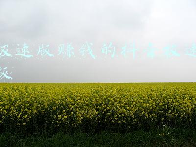极速版赚钱的抖音极速版