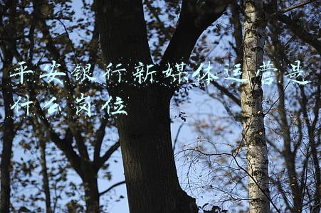 平安银行运营管理岗做什么(平安银行零售新征程：让优质金融服务普惠万家)