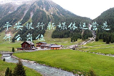 平安新媒体运营是真的吗(女子网恋被骗数百万！“高富帅”落网)