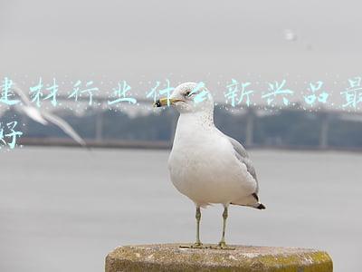 建材行业什么新兴品最好