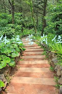 新媒体运营岗位要求(新媒体运营的出路，职业发展如何规划？)