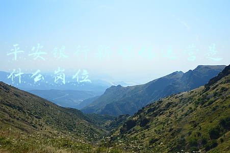 平安银行新媒体运营是什么岗位