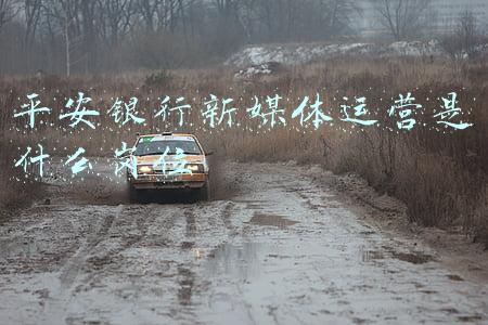 平安银行新一贷靠谱吗(平安银行新一贷到底怎么样呢？你了解吗？)