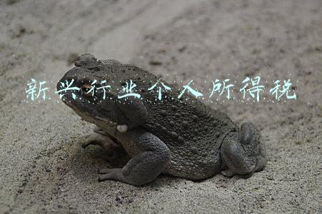 新个人所得税包括经营所得(个人所得税生产经营所得汇缴进行时！分不清A、B、C表的人看过来)