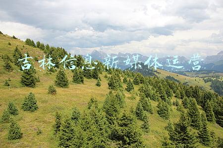 吉林信息新媒体运营
