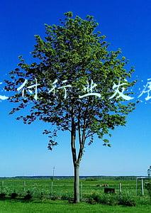 中国支付市场发展现状(中国电子支付行业现状分析，区块链或将在该领域一展拳脚「图」)