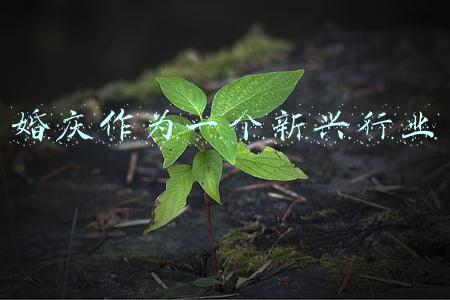 婚庆行业分析报告(2021年互联网婚庆行业发展现状，一季度用户规模同比增长44.6%)
