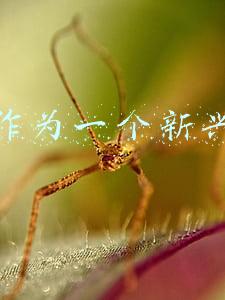 婚庆公司属于什么行业(中国婚庆行业的发展历程和发展方向)