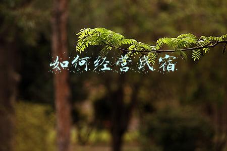 如何经营好民宿(如何经营好民宿 知乎)
