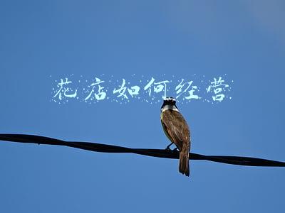 花店经营策略(花店经营策略论文)