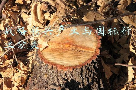 工业战略性新兴产业分类(2018)(「理论」强工业要充分发挥甘肃工业比较优势)