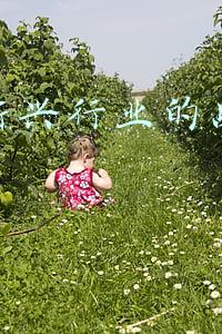 论述新兴行业的战略选择
