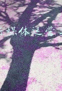 新媒体运营工作要求是什么(新媒体运营工作计划表（全面）)