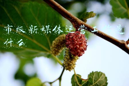 市级融媒体中心(助力“强省会”！贵阳投资促进融媒体中心今日揭牌)