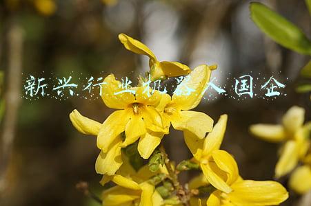新兴行业机器人国企