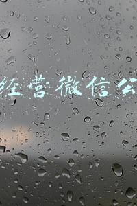 怎么经营微信公众号(如何管理微信公众号)