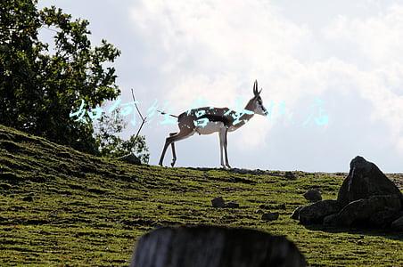 如何经营蛋糕店