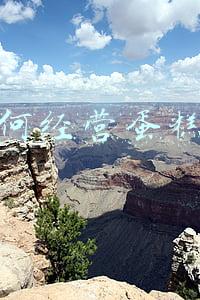 蛋糕网店应该如何经营(蛋糕店怎么经营)