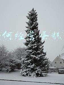 如何经营好一家蛋糕店(如何经营好一家蛋糕店?)