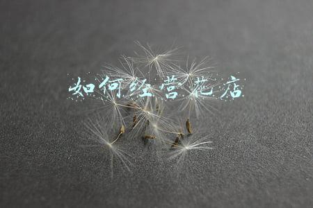 如何经营花店零基础(怎样经营花店)