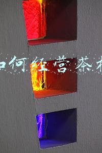 如何经营茶楼生意才好(茶楼怎么经营才有生意)