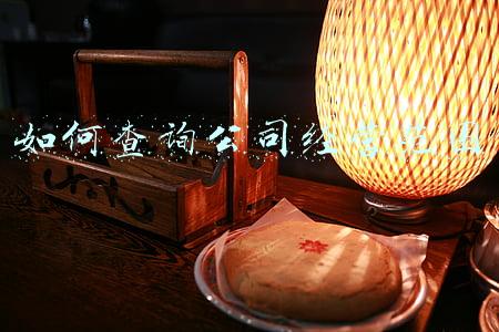 怎么查营业执照的经营范围：怎样查公司营业执照经营范围