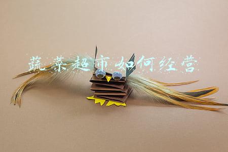 蔬菜超市如何经营流程(蔬菜超市怎么经营)