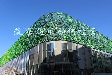 蔬菜怎么进超市（蔬菜如何进入超市）