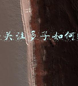 抖音关注赚钱(“短视频关注＋点赞”赚大钱？)