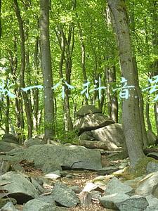 怎样做一个抖音号赚钱