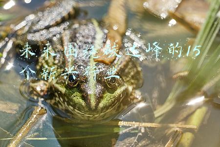 未来围绕碳达峰的15个新兴行业