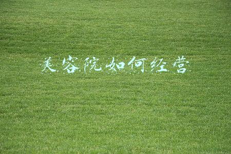 美容院运营管理方案-美容院经营与管理方案