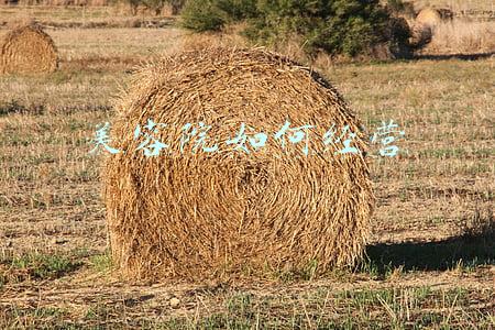 美容院经营模式 600元共享美容院经营模式