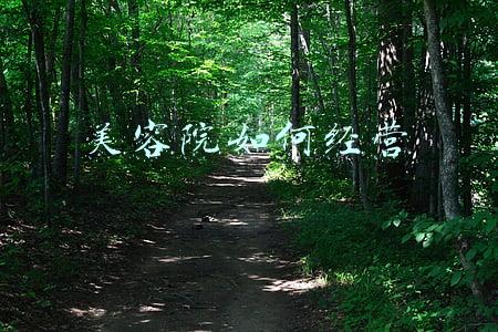 如何经营一家美容院：小型美容院如何经营