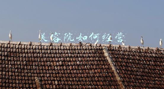 美容院经营管理 美容院经营管理课程