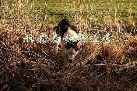 服装店如何经营好拉人-怎么才能经营好服装店