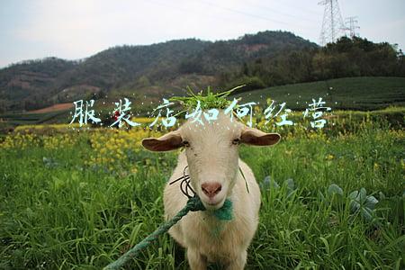 服装店如何经营